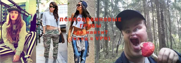 ГАЛЛЮЦИНОГЕННЫЕ ГРИБЫ Верхний Тагил